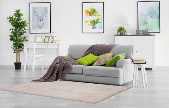What is the difference between carpet and rugs?